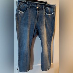 Judy Blue 20W skinny fit